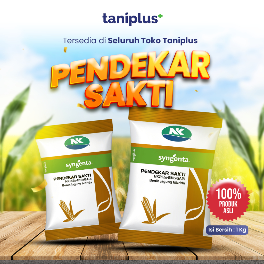 NK 212S Pendekar Sakti 1 Kg - Benih Jagung