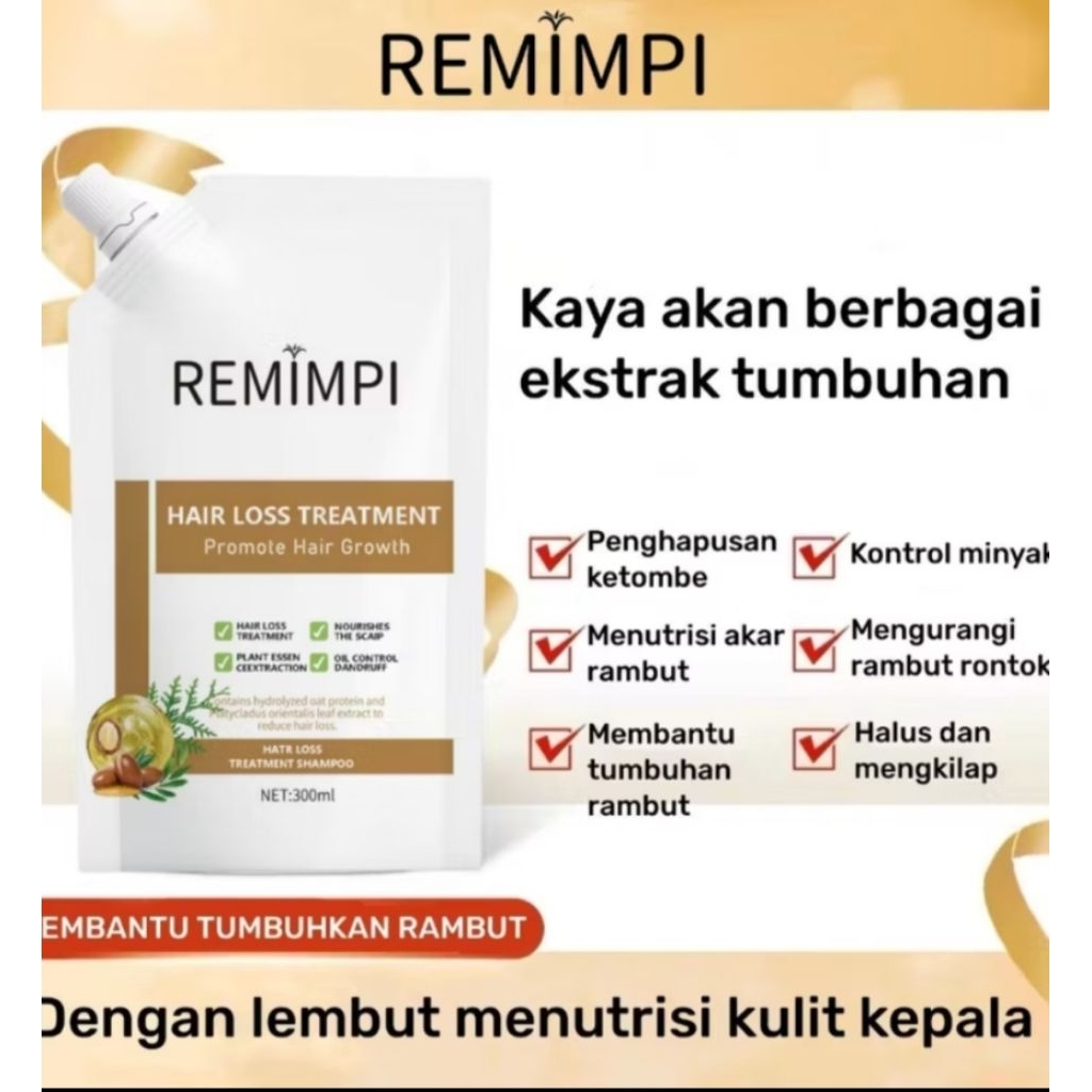 REMIMPI