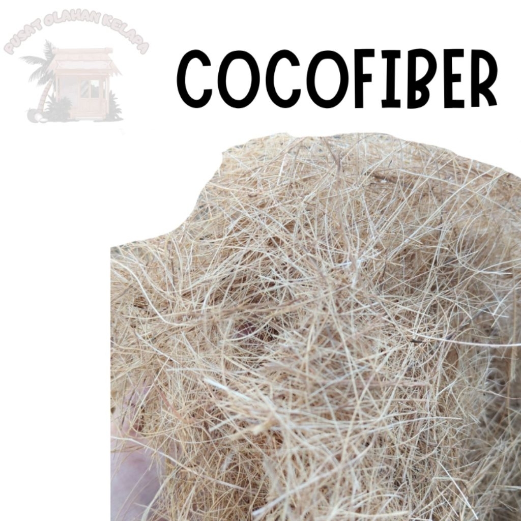 CocoFiber Sabut Kelapa Media Tanam - Sabut Kelapa Kering Media Tanam & Kerajinan