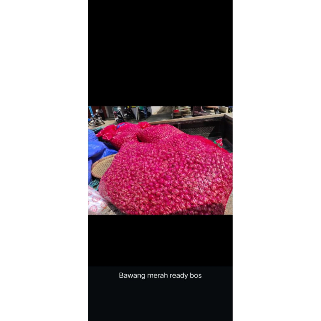 

bawang merah 250gr