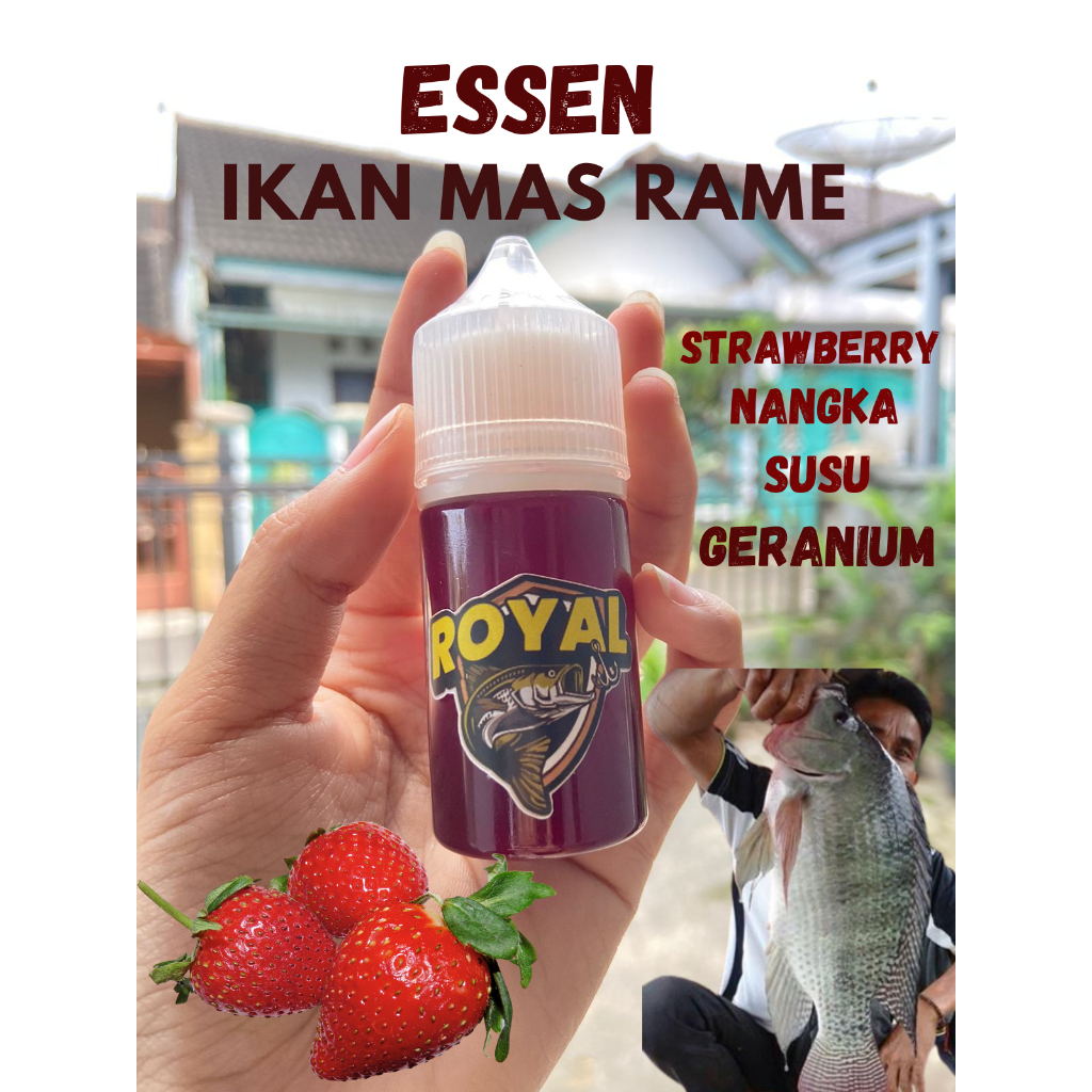 Essen Ikan Mas Rame Tergacor Aroma Strawberry Nangka Susu Geranium