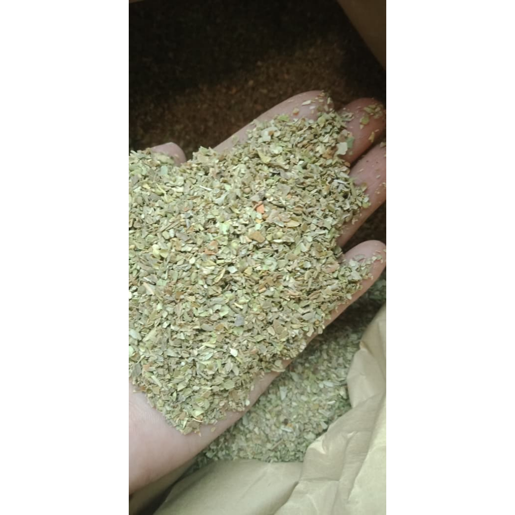 

Bumbu Masak Oregano / Rempah Oregano / Oregano Powder 1kg