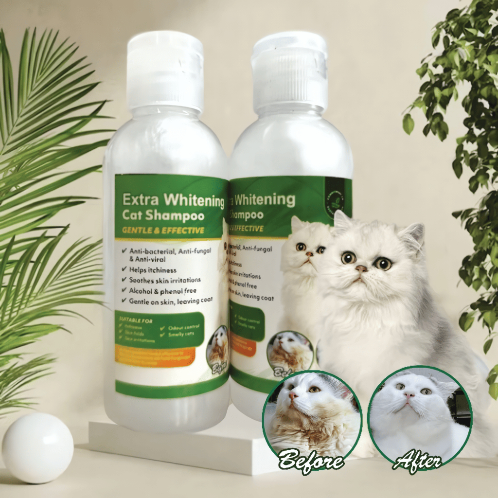 WHITENING SHAMPOO FLIPTOP - Shampoo Plus Conditioner Kucing Putih Grooming Kucing Putih Pemutih Bulu