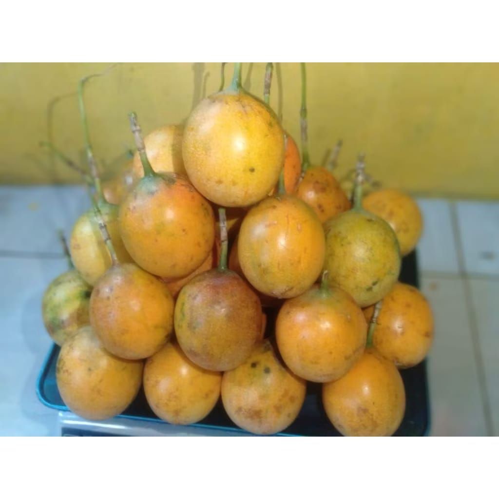 

Jual Markisa/buah konyal varian 2 buah markisa manis