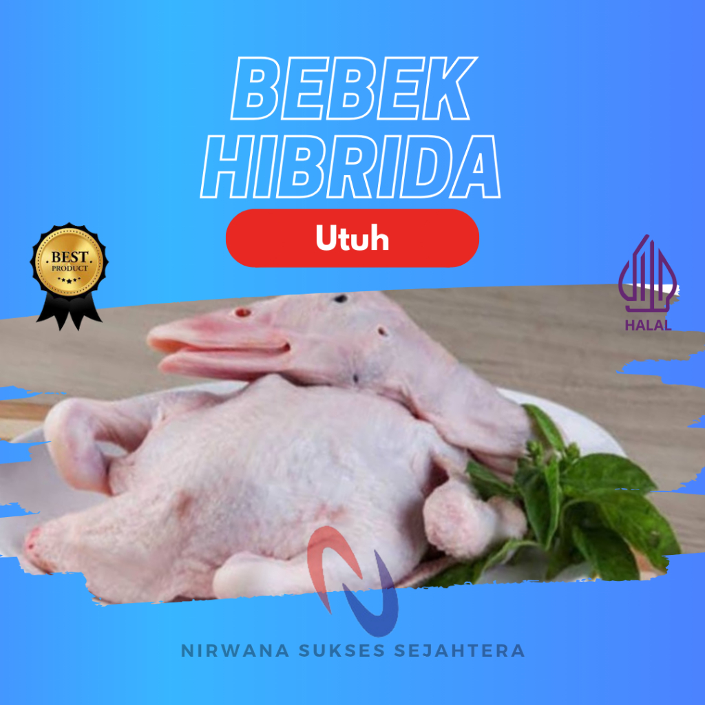 

BEBEK HIBRIDA UTUH / WHOLE HYBRID DUCK