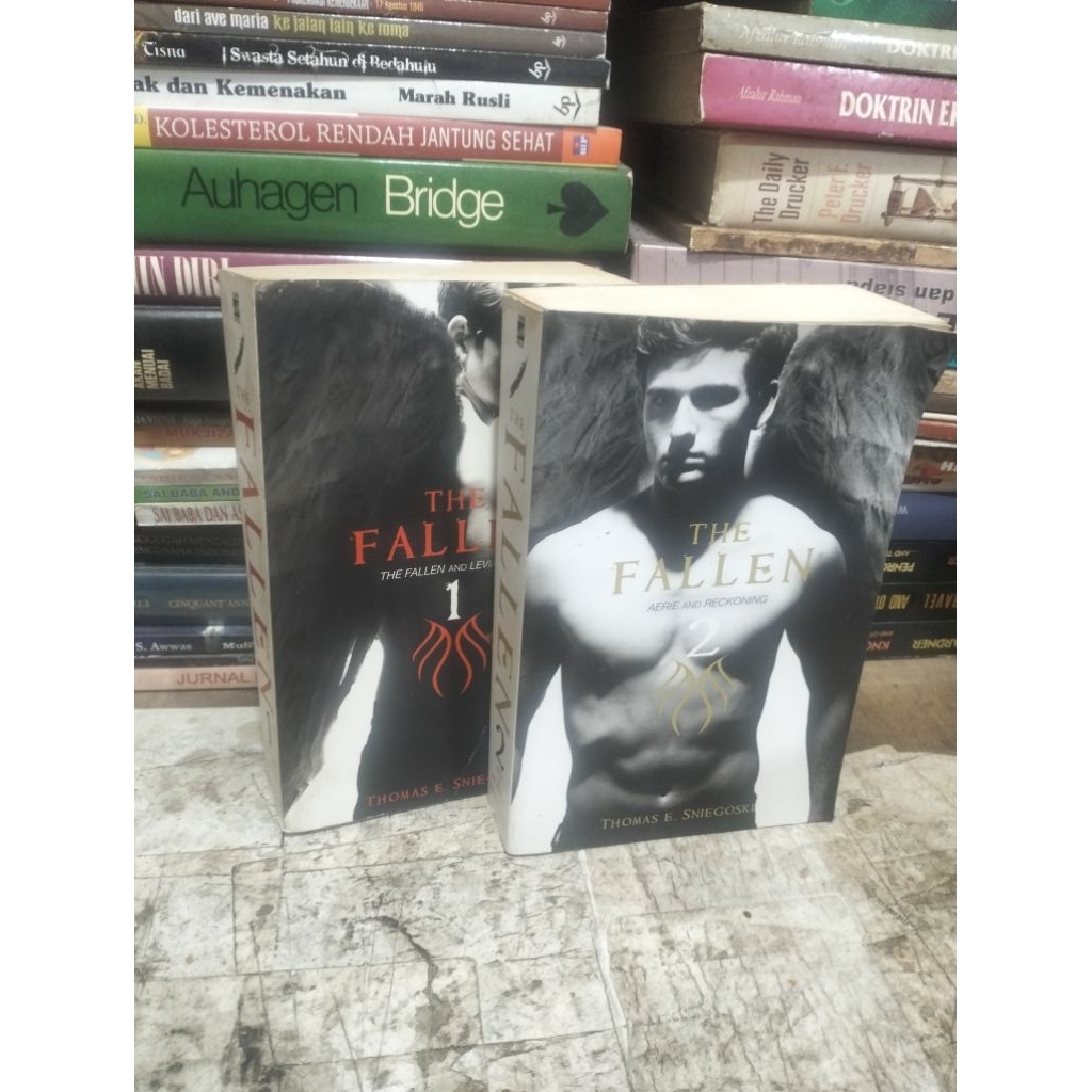 Novel Import THE FALLEN 1&2 By Thomas E Sniegoski