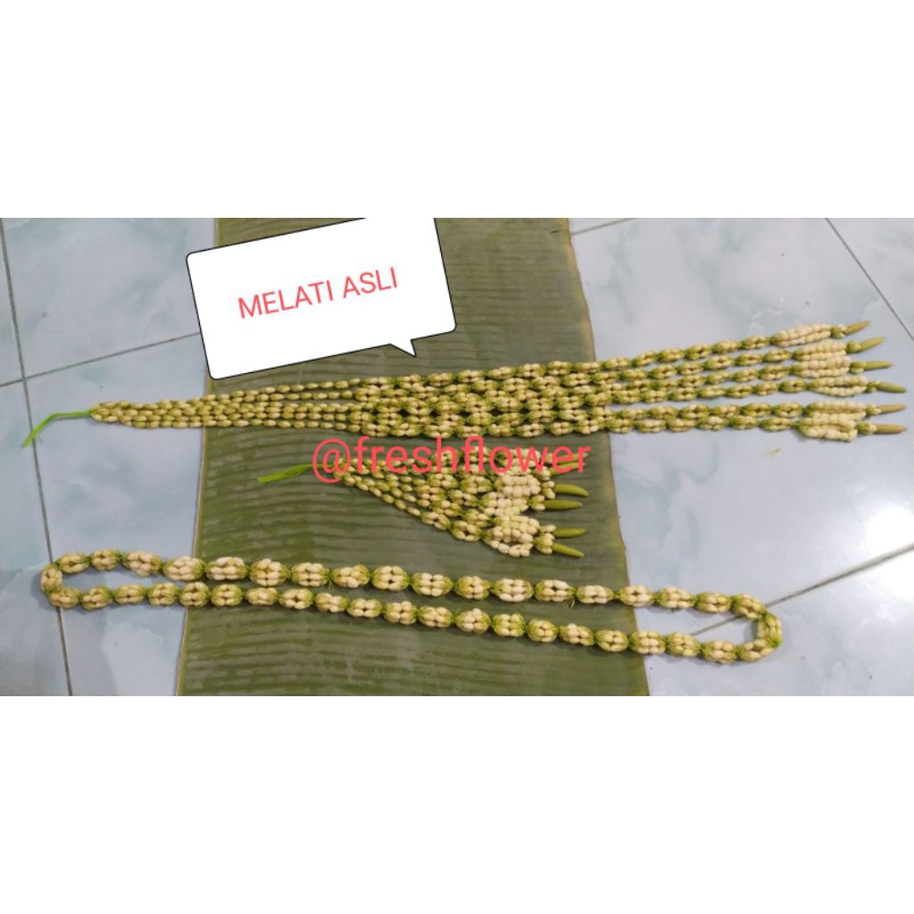 roncean melati asli simpel bukan melati imitasi atau palsu