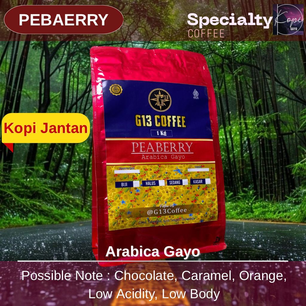 

Kopi Peaberry Jantan Lanang Biji Tunggal Gayo Arabica Specialty Aceh Roasted Bean Biji Bubuk