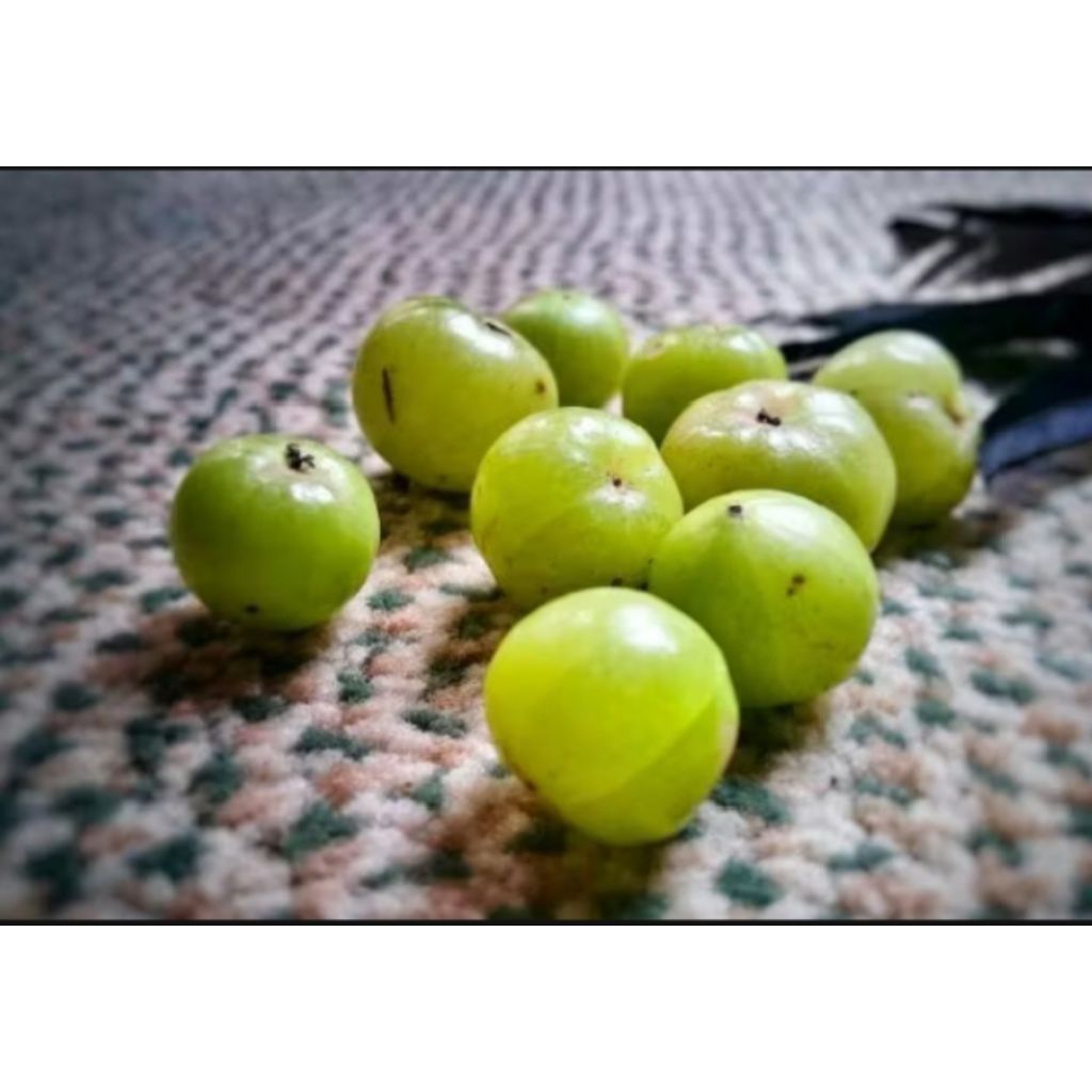 

buah malaka 500 gram