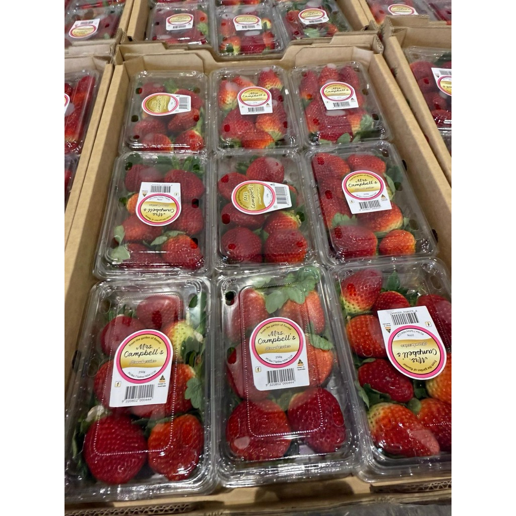 

Strawberry Red Australian Fersh 250gram | Pack
