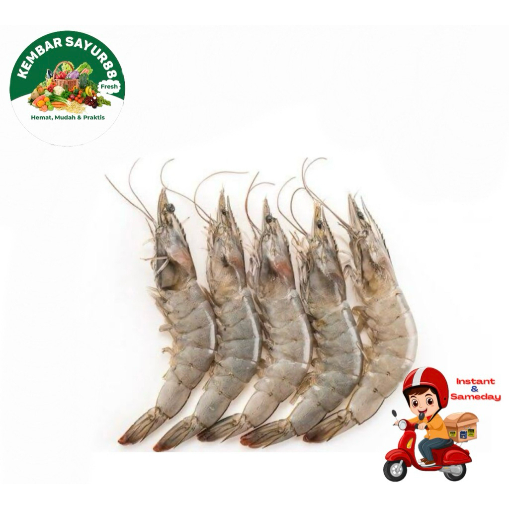 

Udang Segar Jumbo - Kembarsayur88