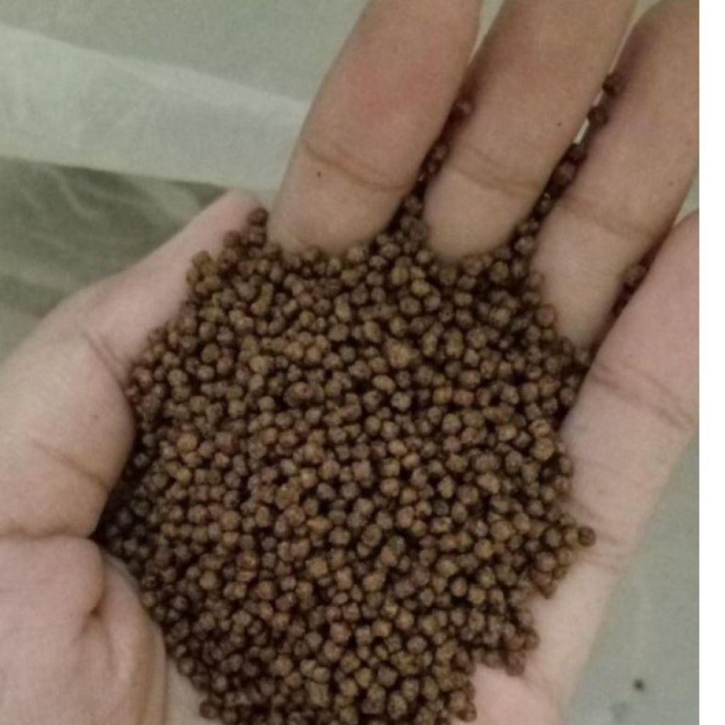 Pakan Ikan lele gurame nila isi 1/2Kg dan 1Kg
