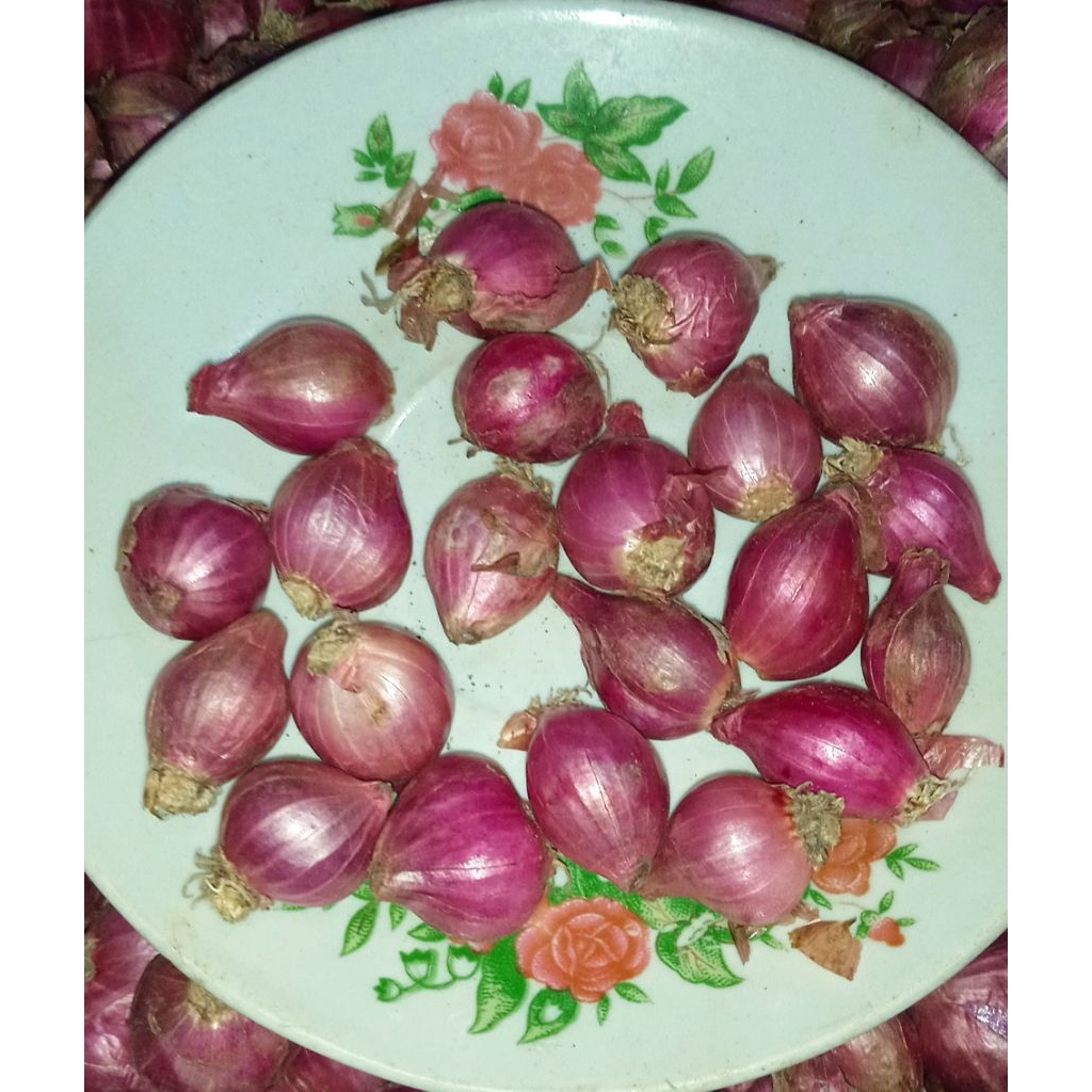 

BAWANG MERAH KECIL 1KG