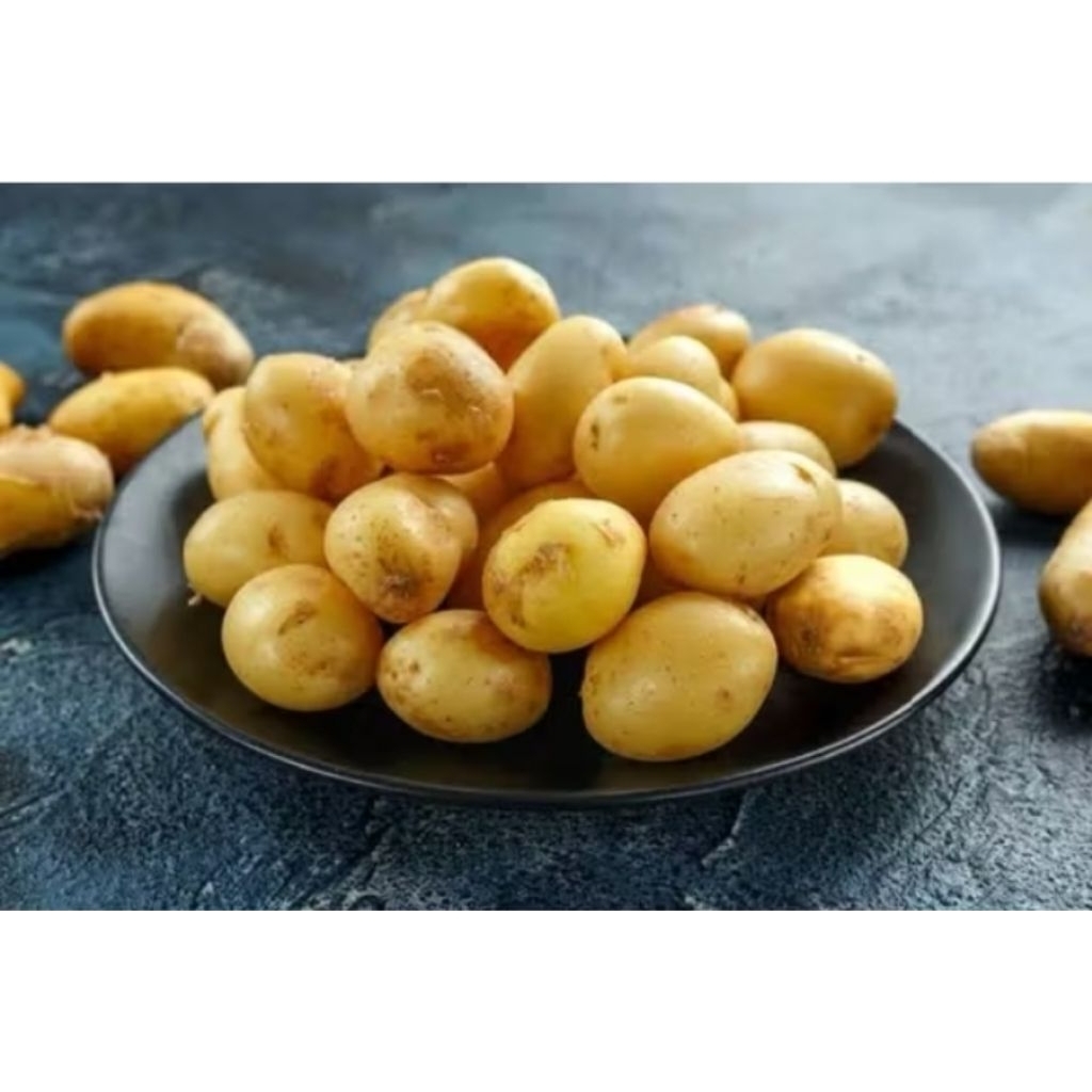

Kentang kecil potatos fres 1 kg