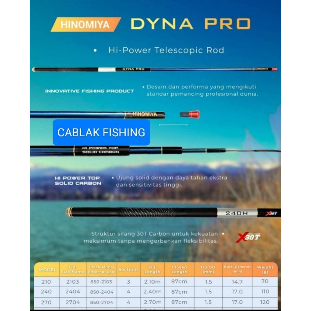Tegek Hinomiya Dyna Pro murah