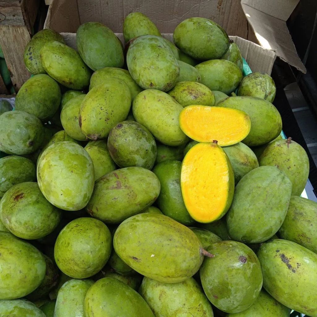 

mangga gadung 1kg mangga harum manis Pelem gadung