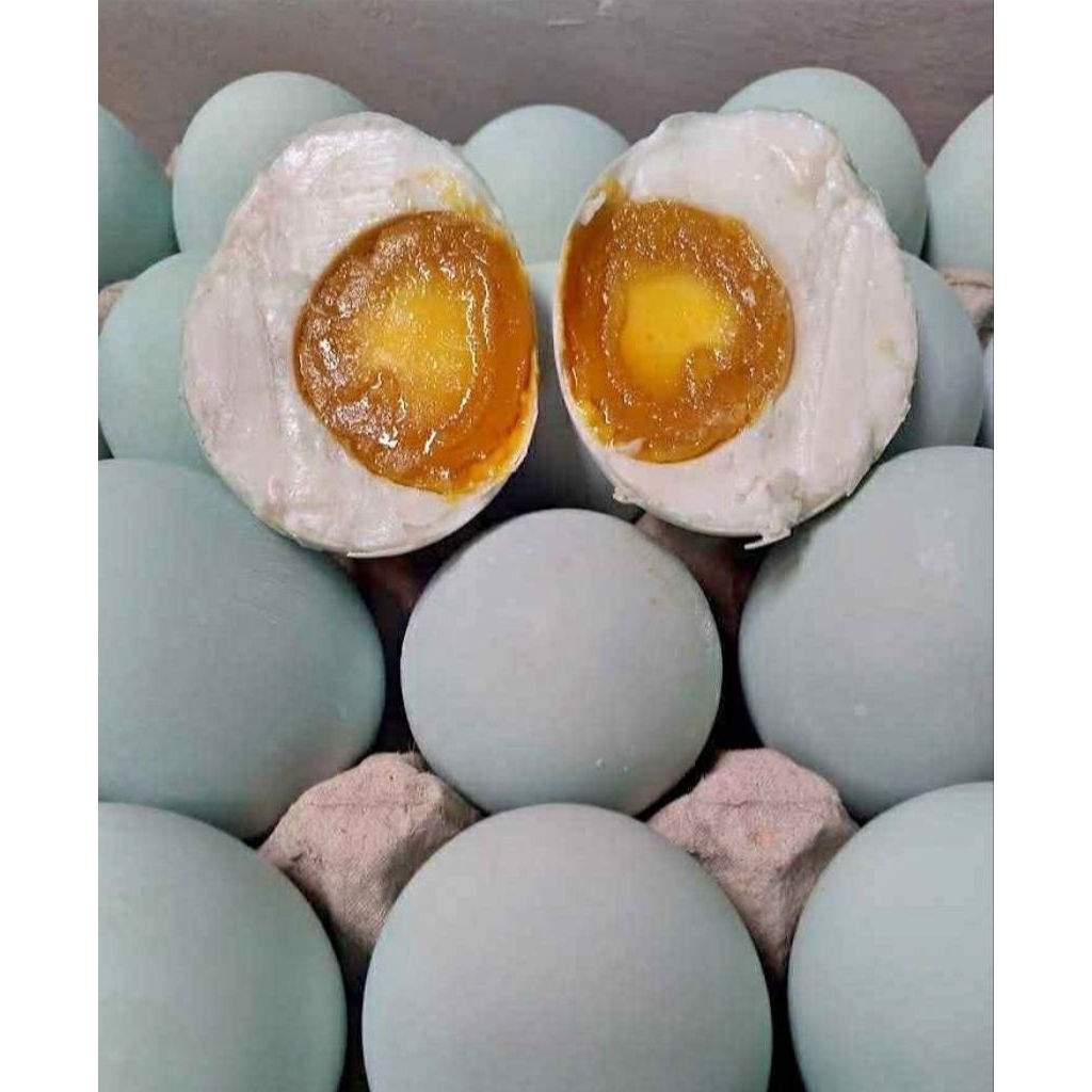 

Telor Asin Sedang 10 Butir