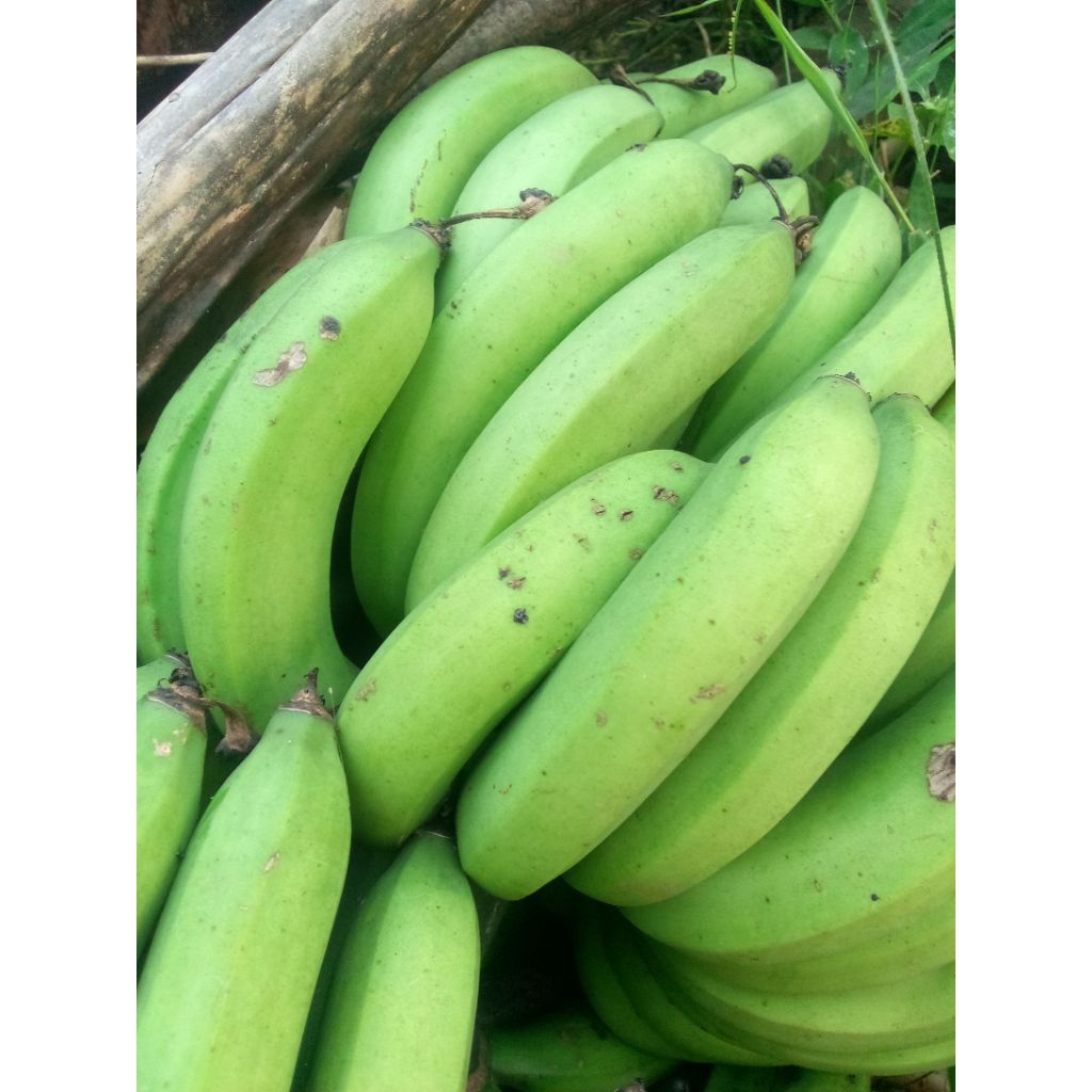 

pisang ampyang/pisang angleng size 1kg