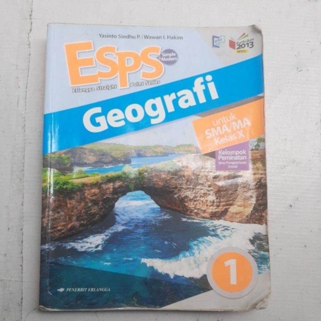 buku kelas 10 esps geografi