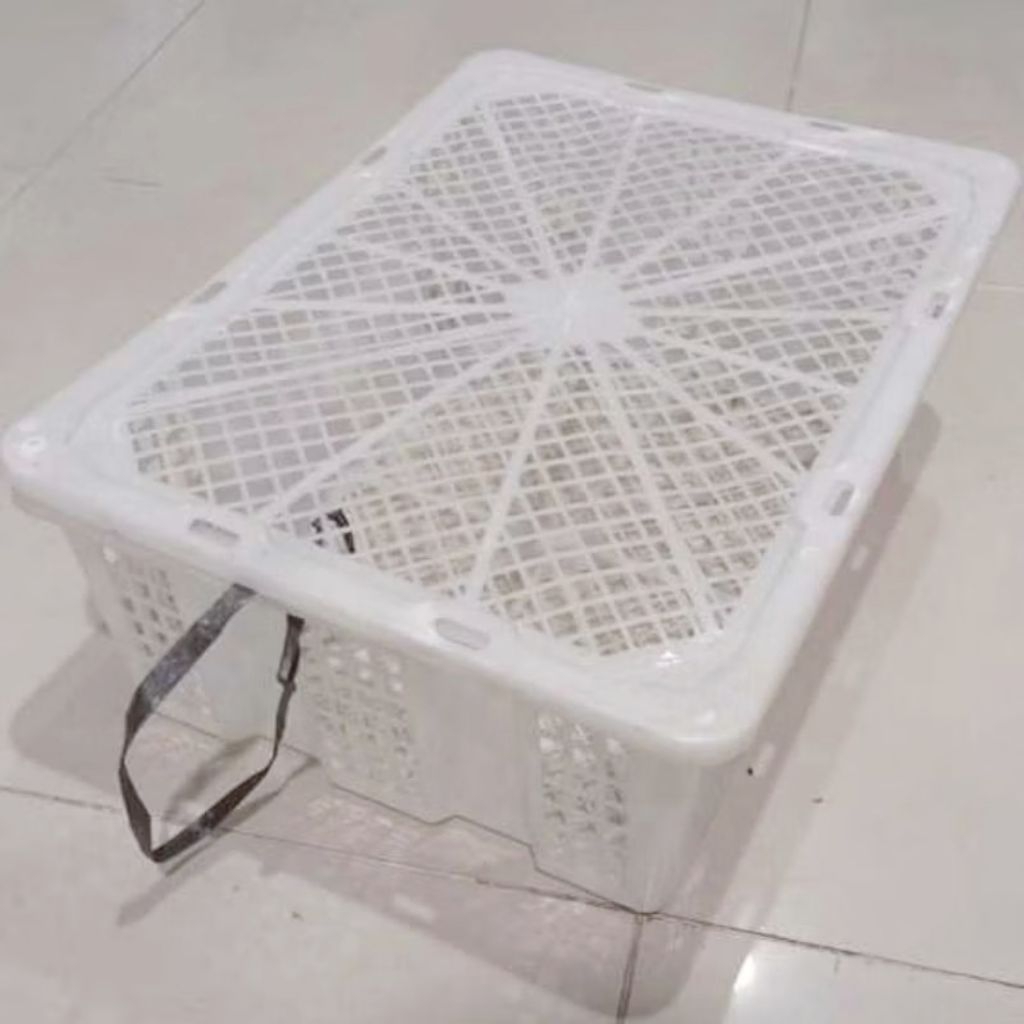 keranjang bekas buah kelengkeng+ tutup