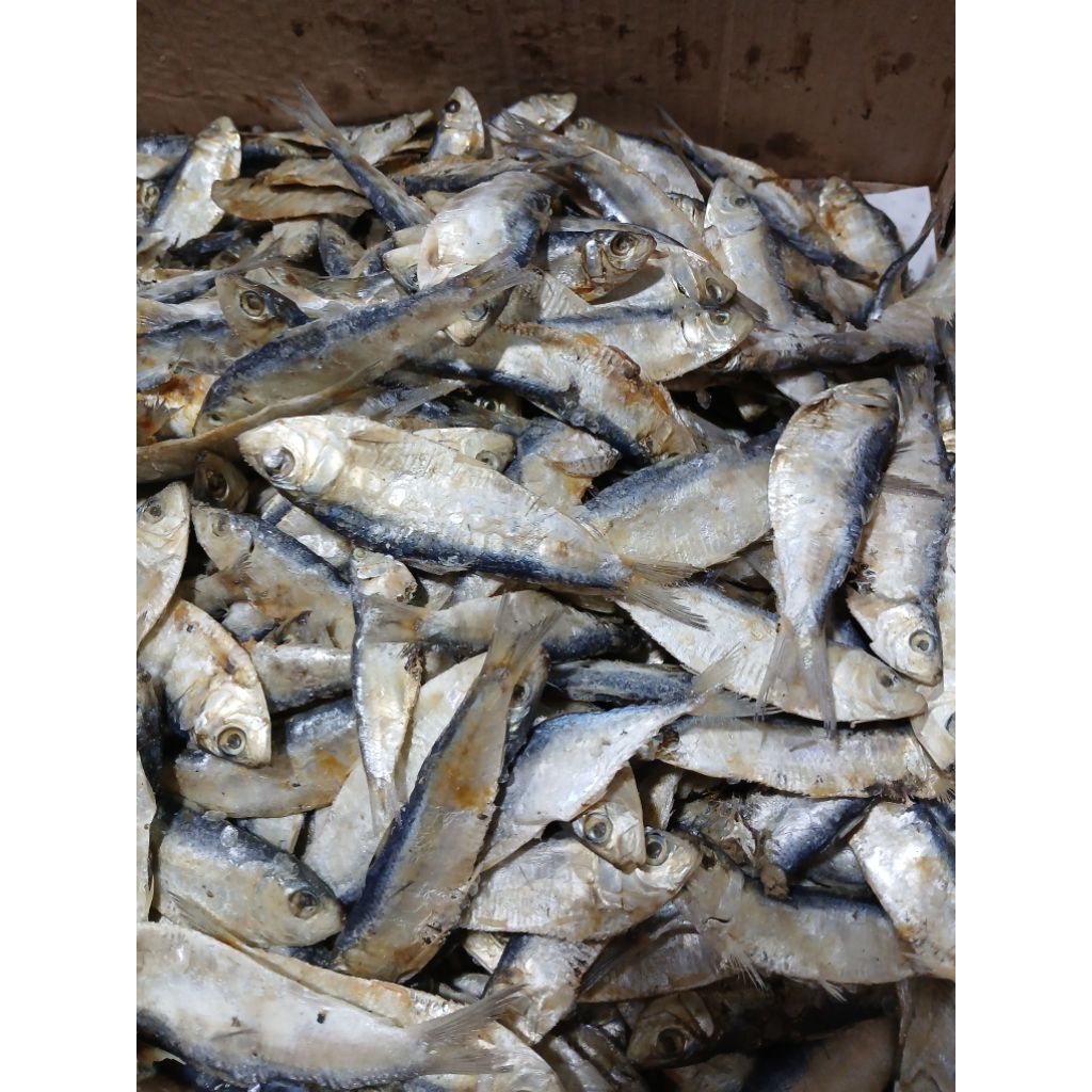 

IKAN ASIN TEMBANG SISIK 500GRAM