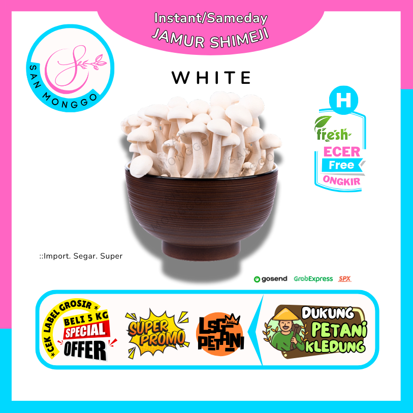 

Sanmonggoo >> Jamur Shimeji Putih -- Hasil Bui Sindoro Sumbing Ecer (H)