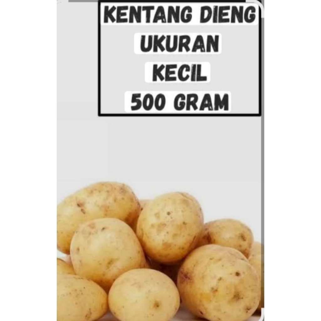 

kentang Dieng Ukuran Kecil