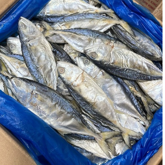 

IKAN GEMBUNG ASIN / IKAN PEDA