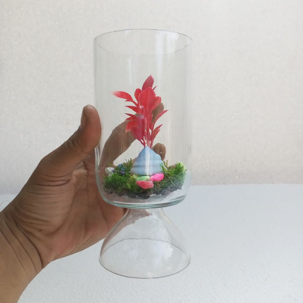 Akuarium kaca cupang paket 2 pcs satu set tanaman hias akuarium rumput sintetis paket 2 pcs Soliter 