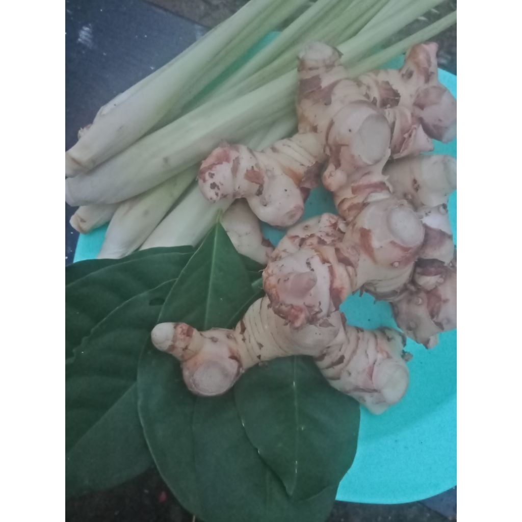 

paket lengkap 3 jenis lengkuas+sereh+daun salam