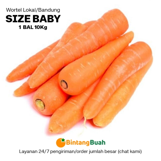 

Wortel Segar Lokal size BABY / Wortel Bandung / Wortel Bandung Fresh / Carrot Fresh / Fresh Carrot / Wortel Segar / Sayuran Segar /Wortel Lokal / 10 Kg / Bal