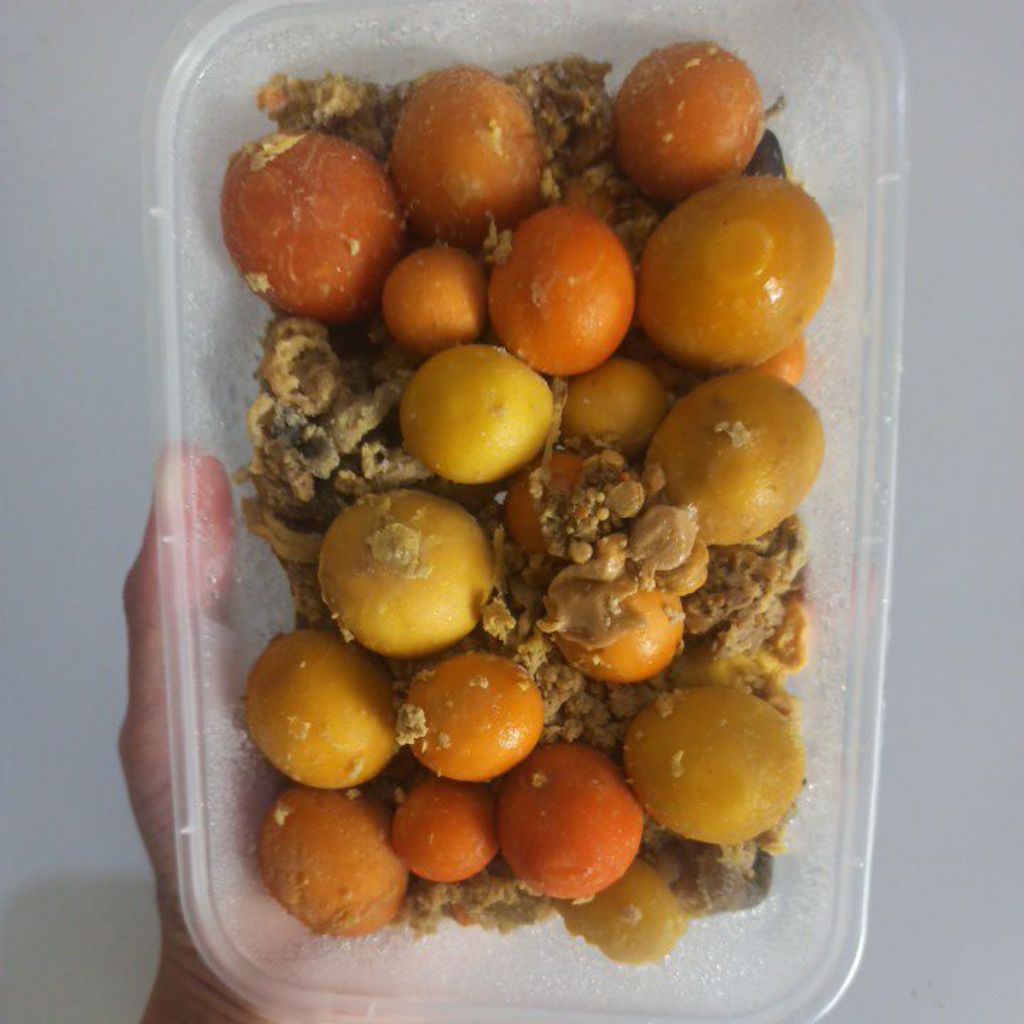 

Titik Frozen | Uritan ayam ungkep