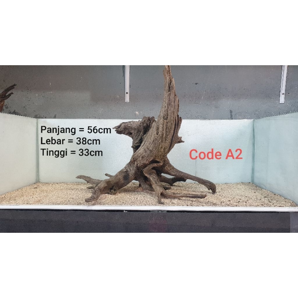 kayu santigi (kayu tenggelam)