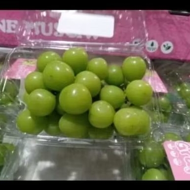 

Buah Anggur Shine Muscat Pack Per 1 dus karton