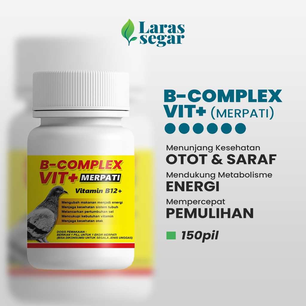 Vitamin B Complex Untuk Kebugaran Burung Merpati