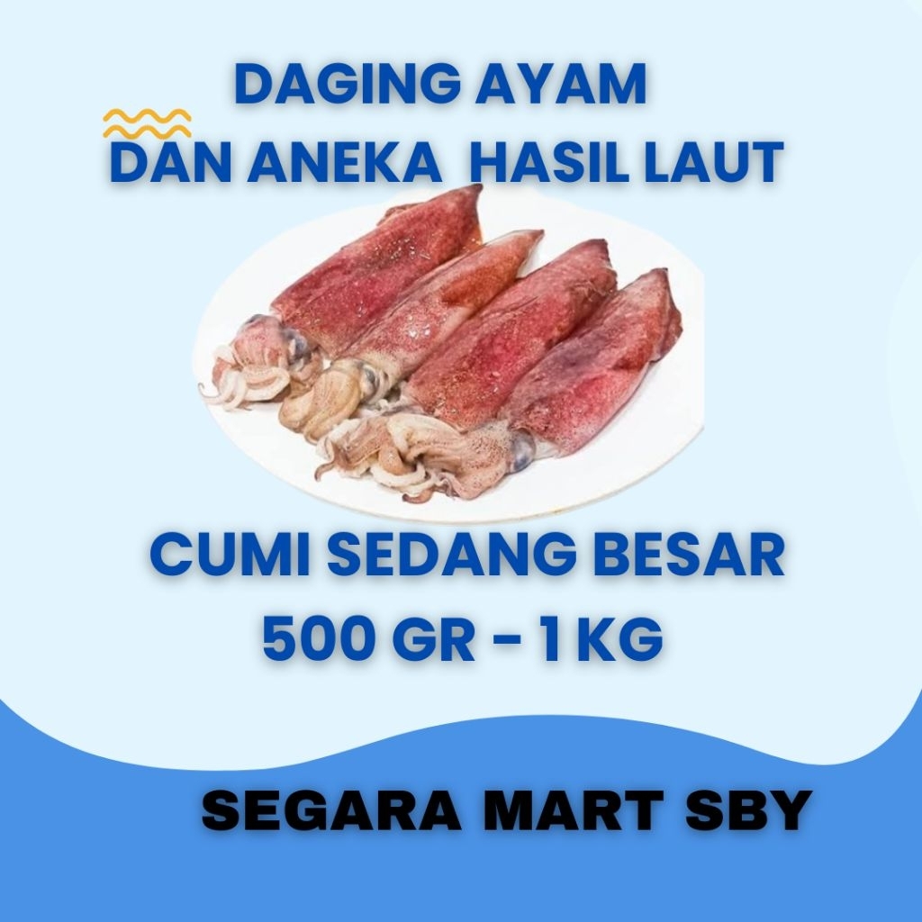 

CUMI CUMI SEDANG BESAR 500 GR - 1 KG || Segara Mart Sby