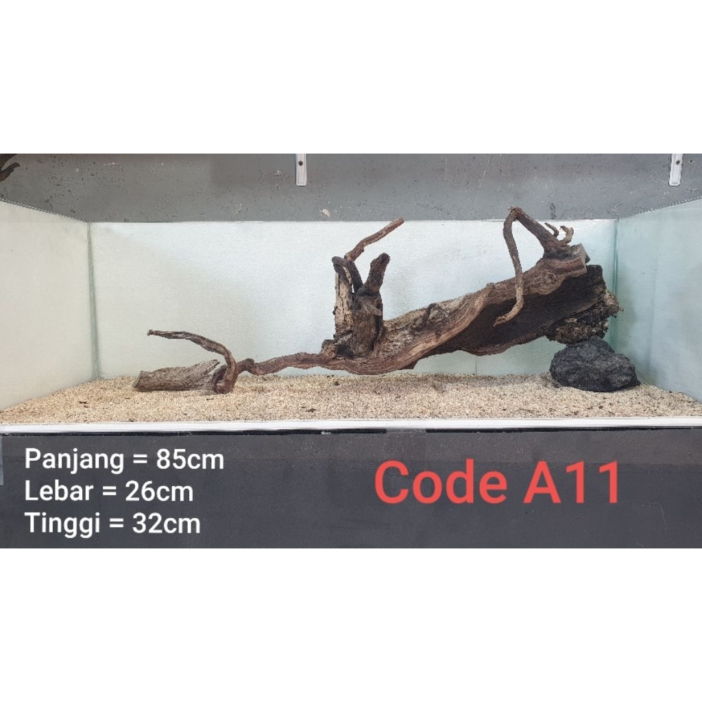 kayu santigi tenggelam