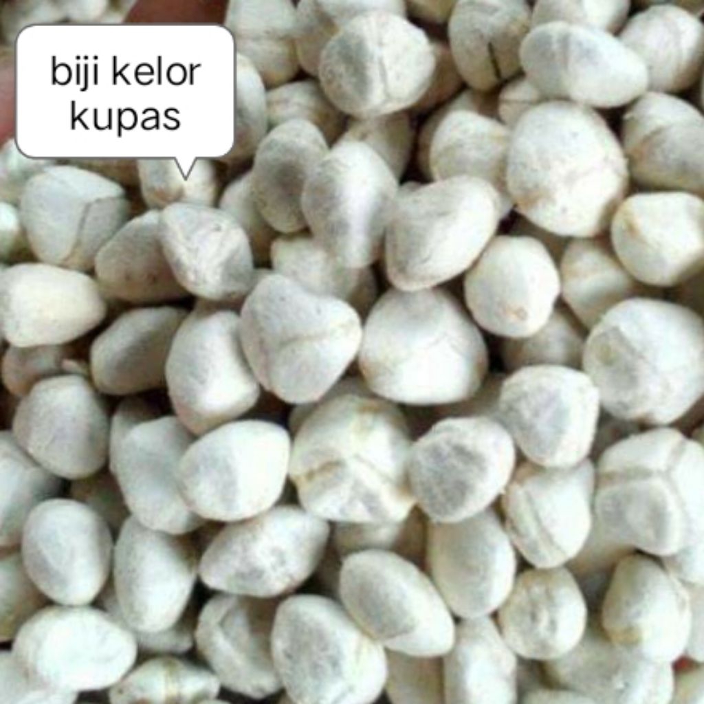 

BIJI KELOR KUPAS 1KG