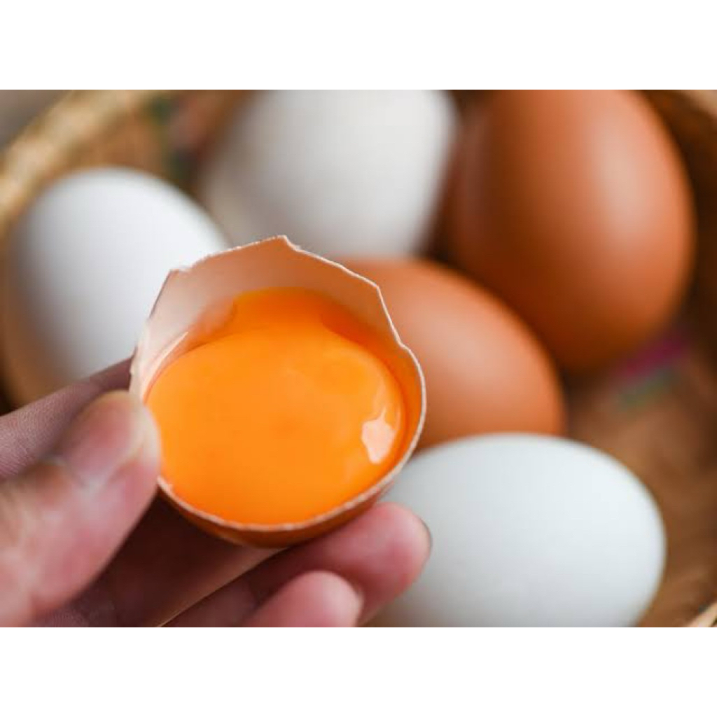 

RAJATELUR | Telur Ayam Omega | 1 Mika 10 Butir