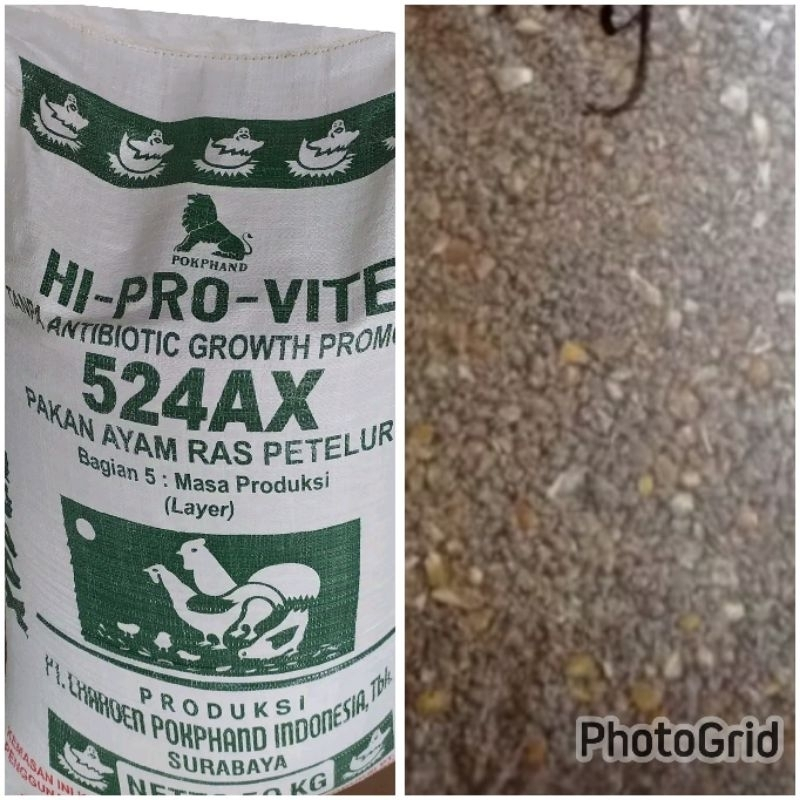 Pakan Ayam Petelur Dewasa 524 AX (1 Kg)