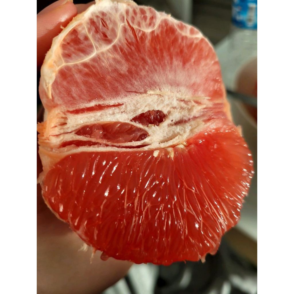 

Jeruk bali segar bobot 1.5kg harga satuan