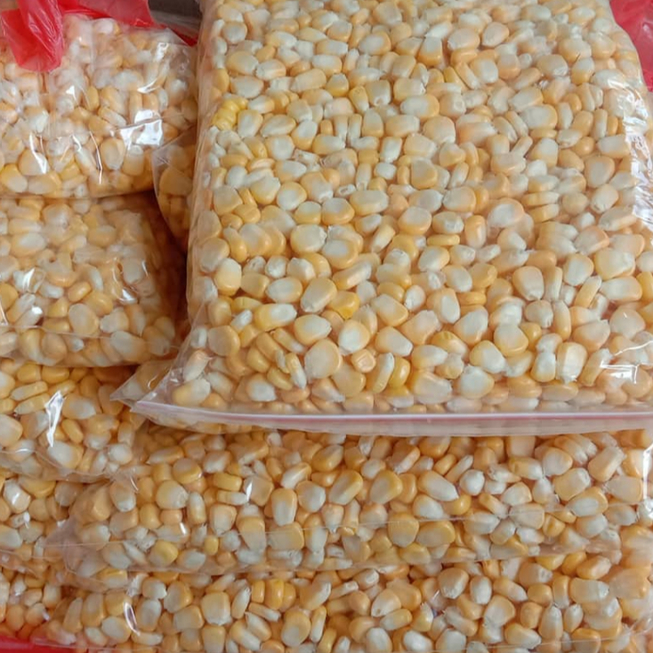 

Jagung Manis atau Sweet Corn Pipil Segar