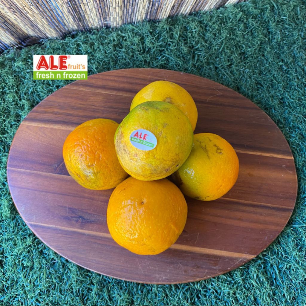 

Jeruk baby java,buah jeruk baby java segar