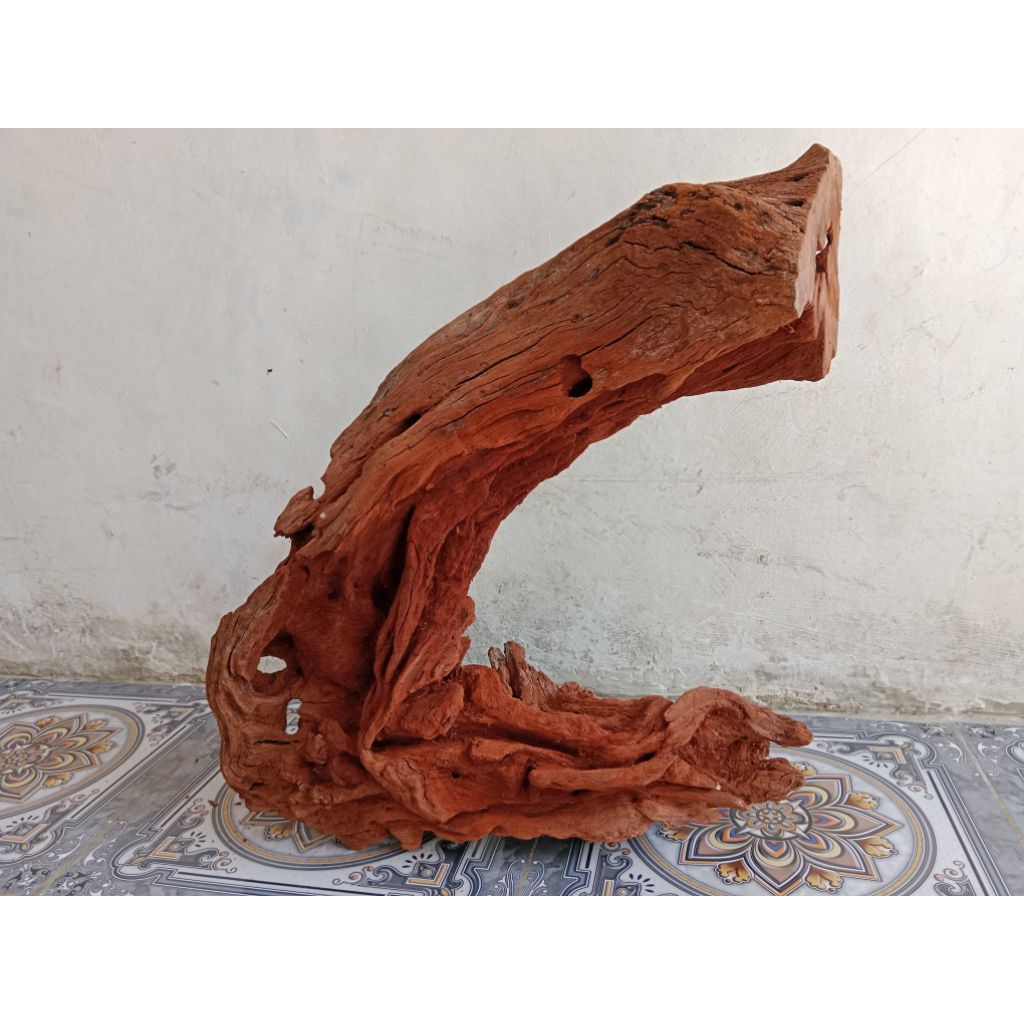 BONGGOL RENTEK KAYU SANTIGI GUNUNG. UNIK ALAMI DAN BERMOTIP. UKURAN BESAR