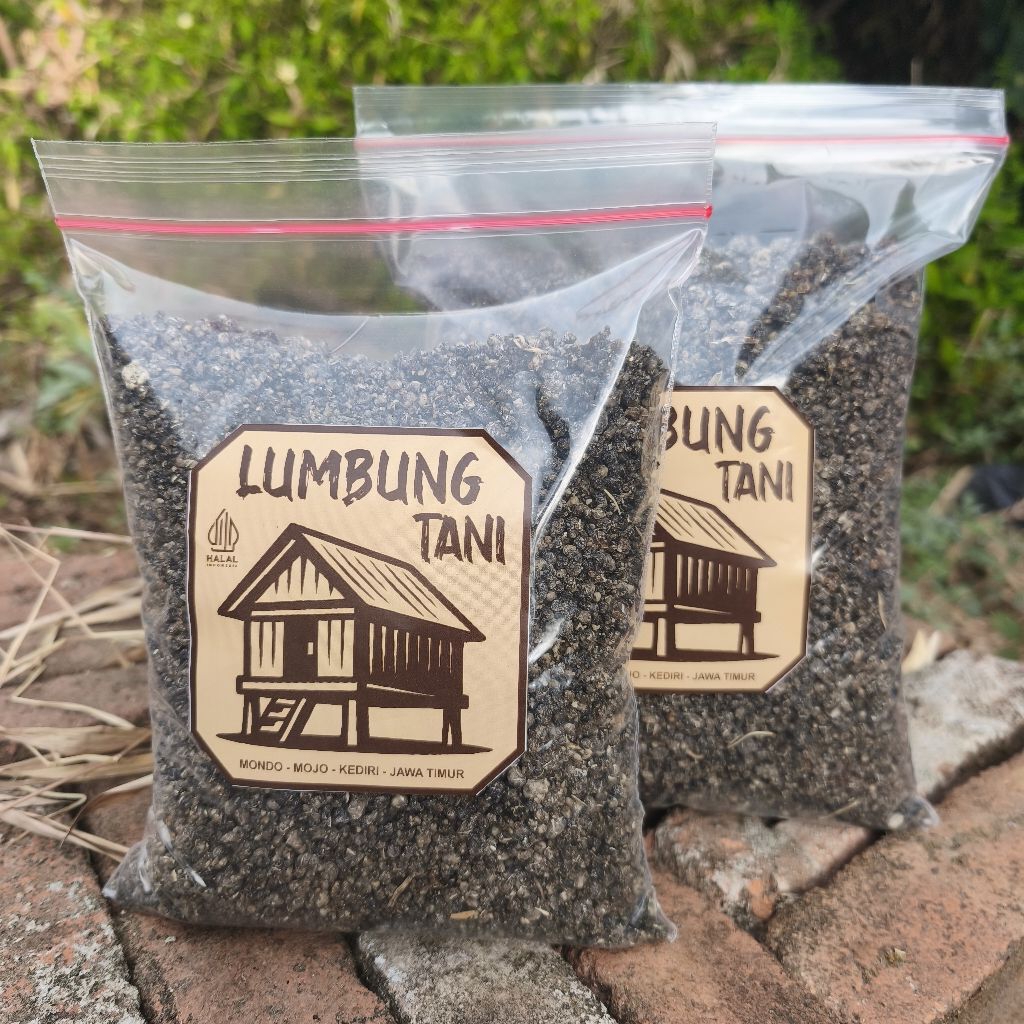 

Beras Tiwul HITAM 1KG Oyek Singkong LUMBUNG TANI