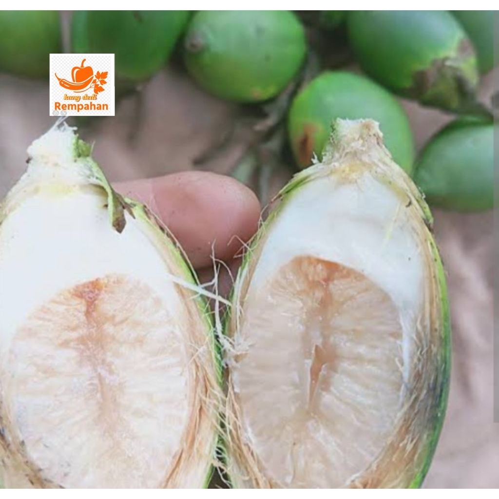 

pinang muda jame muda isi 10butir