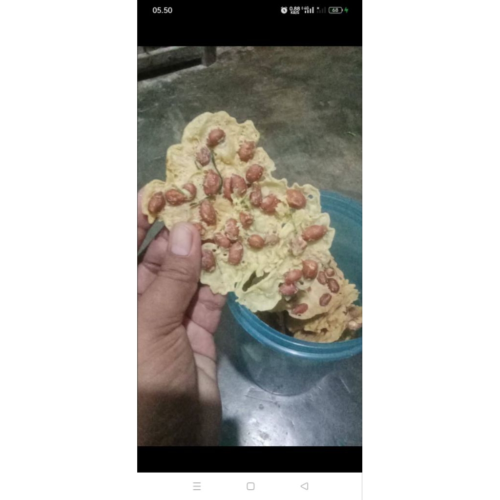 

Rempeyek/Peyek gurih, Rempeyek kacang,peyek kacang, rempeyek rikmat