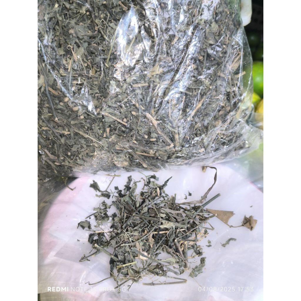 Daun Samiloto / Sambiroto kering (Per Ons)