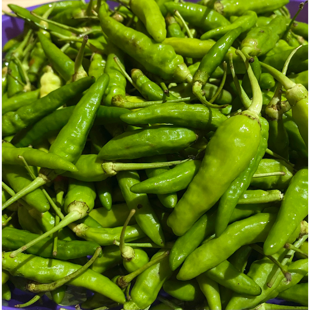 

Cabai Rawit Hijau Mantap