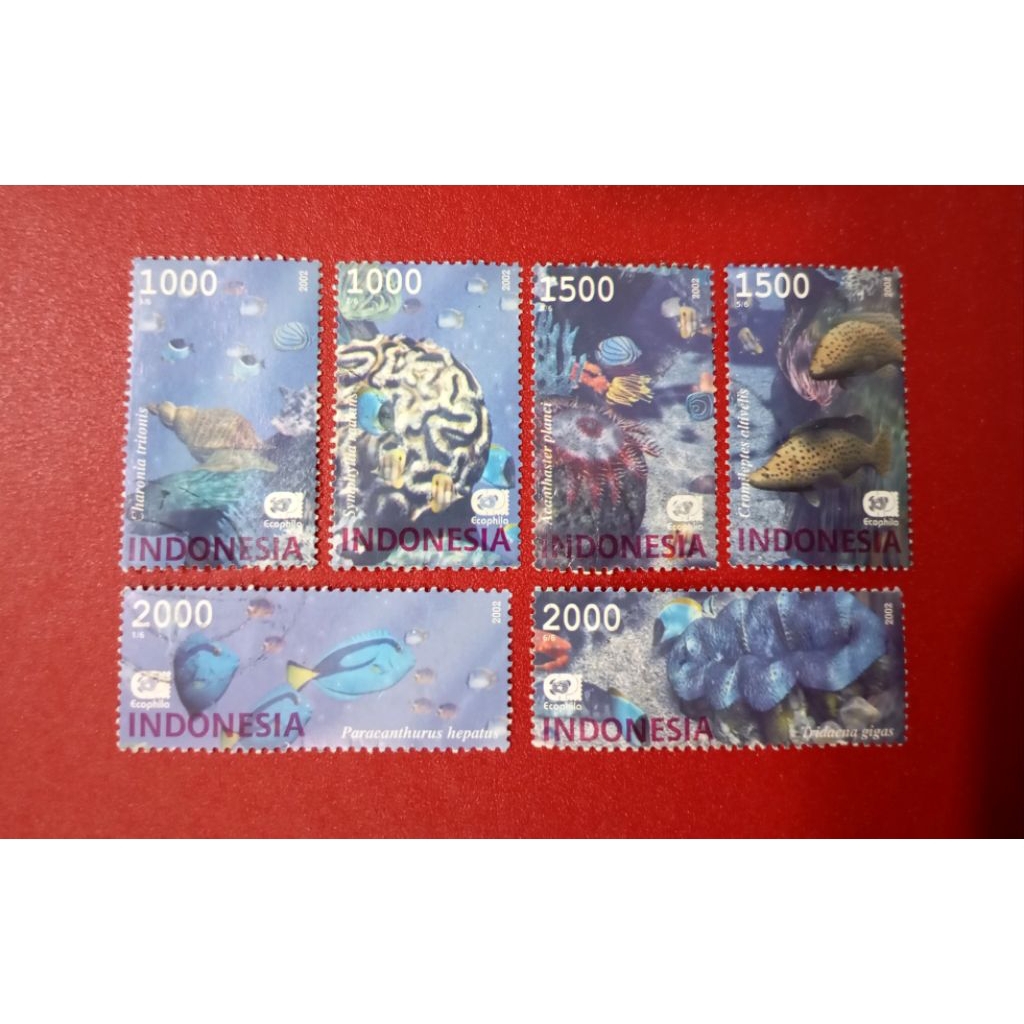 

PRANGKO INDONESIA KEHIDUPAN BAWAH LAUT